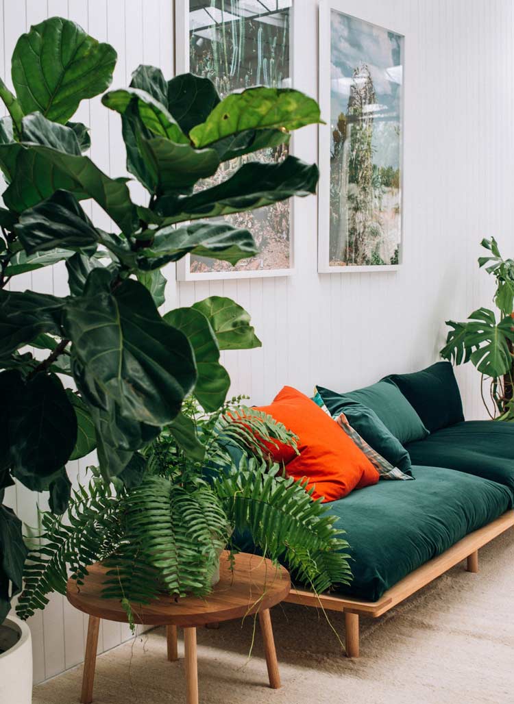 Để thêm 1vài mảng xanh cho phòng khách, bạn không chỉ cần 1 chiếc ghế đệm màu xanh rêu là đủ mà còn cần đặt thêm vài chậu cây nhỏ xinh